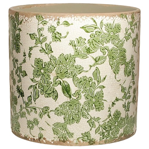 Large green plant - large, pots
