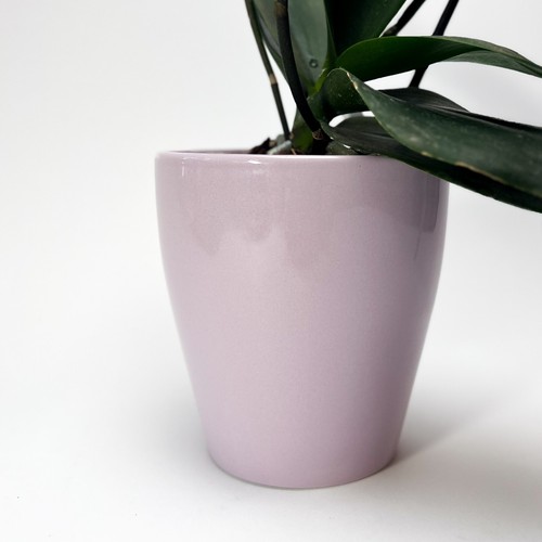 Ceramic solid purple - 5.5",
