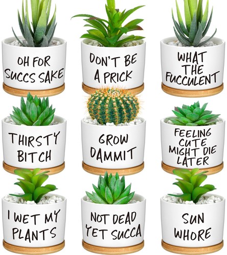 Funny succulent pots with - 9,